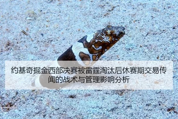 约基奇掘金西部决赛被雷霆淘汰后休赛期交易传闻的战术与管理影响分析
