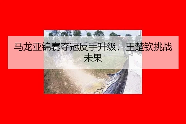ma-long-ya-jin-sai-duo-guan-fan-shou-sheng-ji-wang-chu-qin-tiao-zhan-wei-guo-2-286.jpg