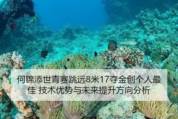 he-jin-tian-shi-qing-sai-tiao-yuan-mi-duo-jin-chuang-ge-ren-zui-jia-ji-shu-you-shi-yu-wei-lai-ti-sheng-fang-xiang-fen-xi-2-238.jpg